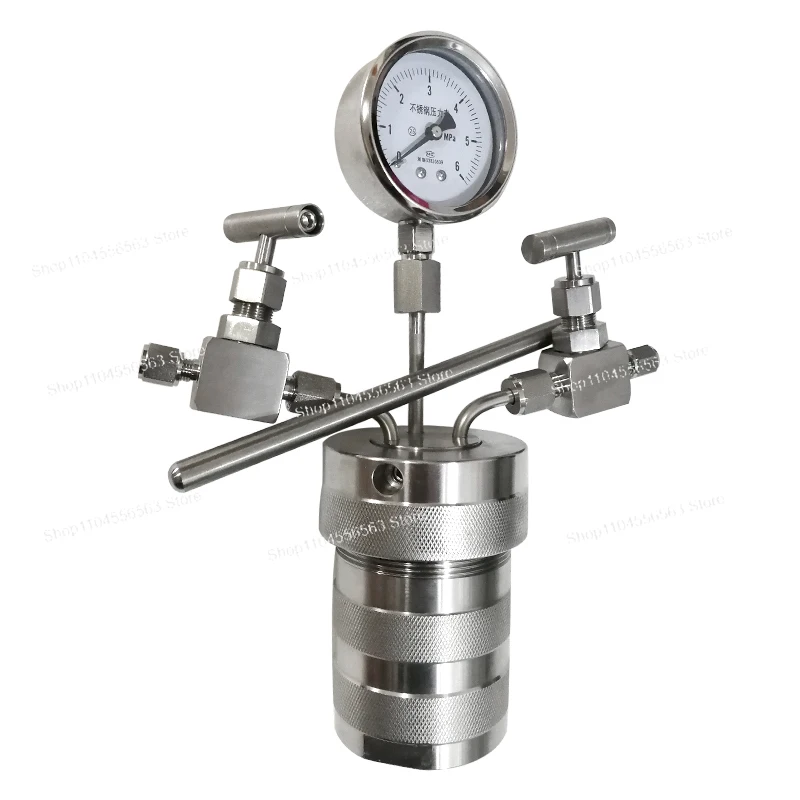 Hydrothermal Synthesis Autoclave Reactor, H2-Connectable, PTFE Lined with Pressure Gauge, Resistant to 180℃, Lab Equipment