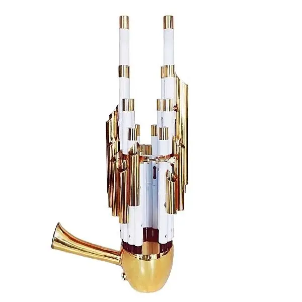 Amplified Sheng professional performance grade famous musical instrument