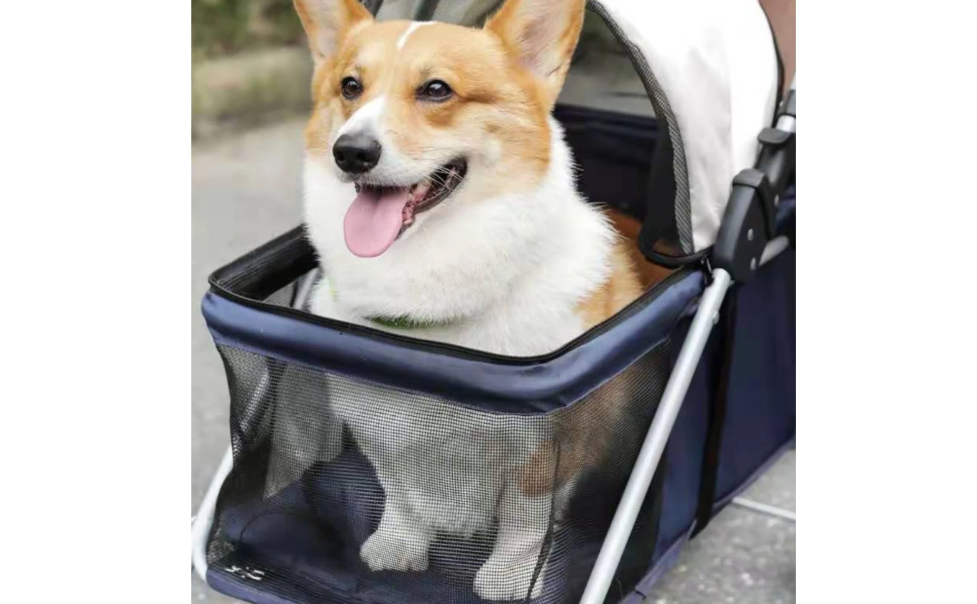 Foldable Pet Stroller twinWheel Pet Carrier for Outdoor Transport