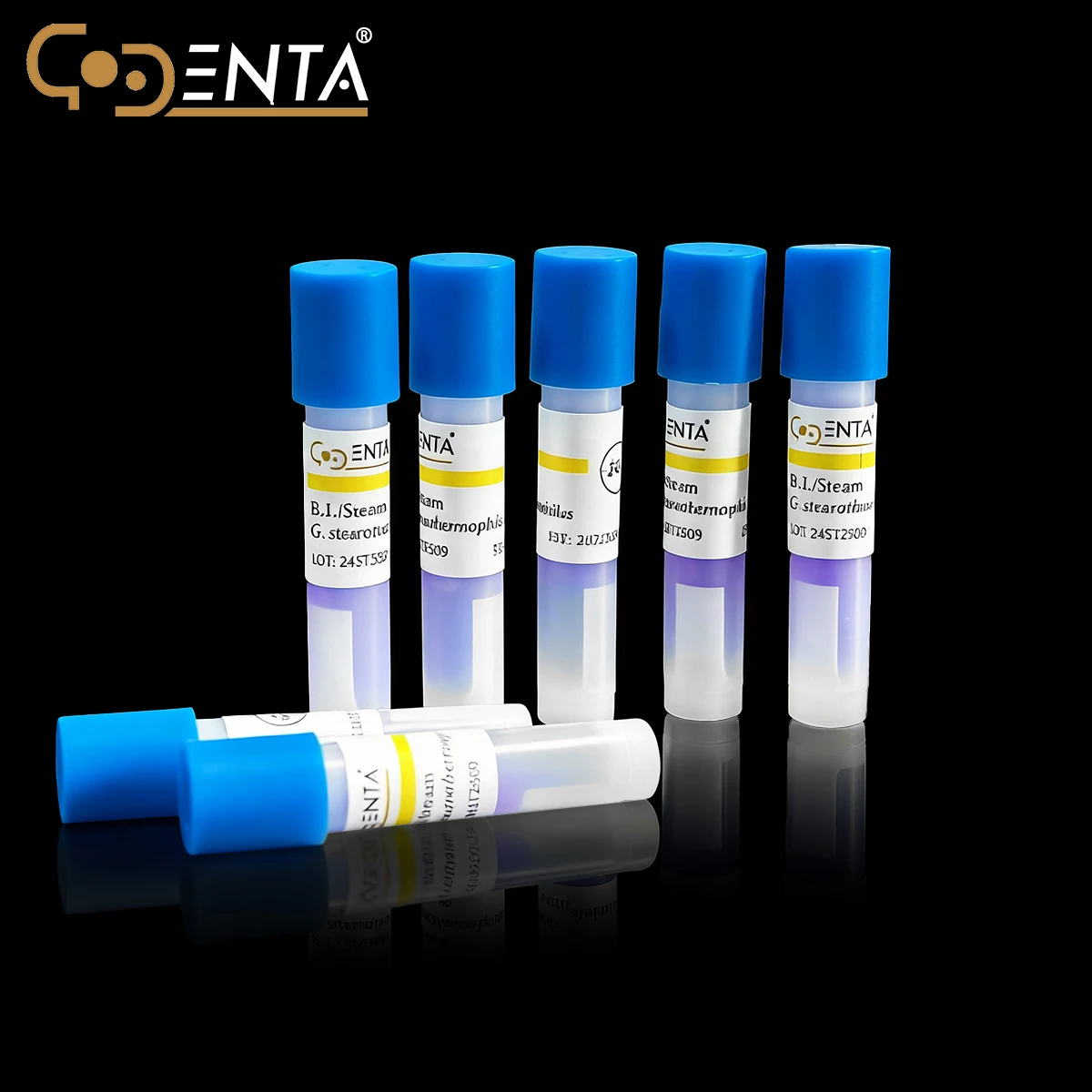 DENTA 0.5 Hours Steam Sterilization Biological Indicator Ultra Super Rapid Readout Latest Generation for Autoclave Monitoring