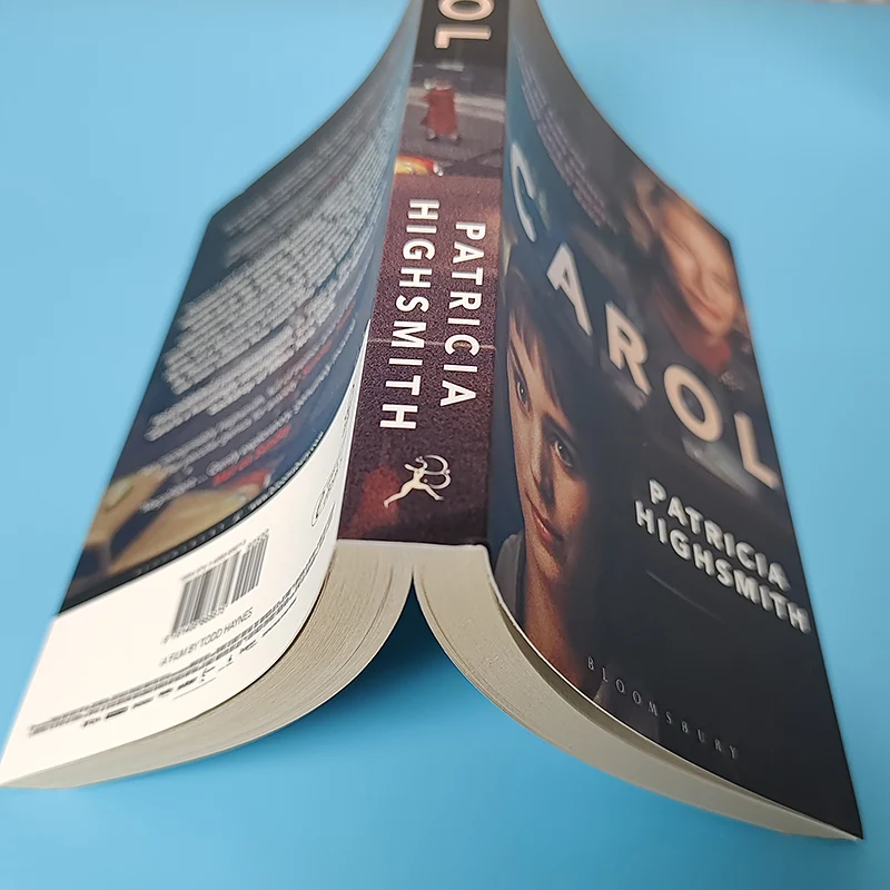 2025 the Price of Carol Salt Highsmith's English Novel - Education Teaching Literature Fiction