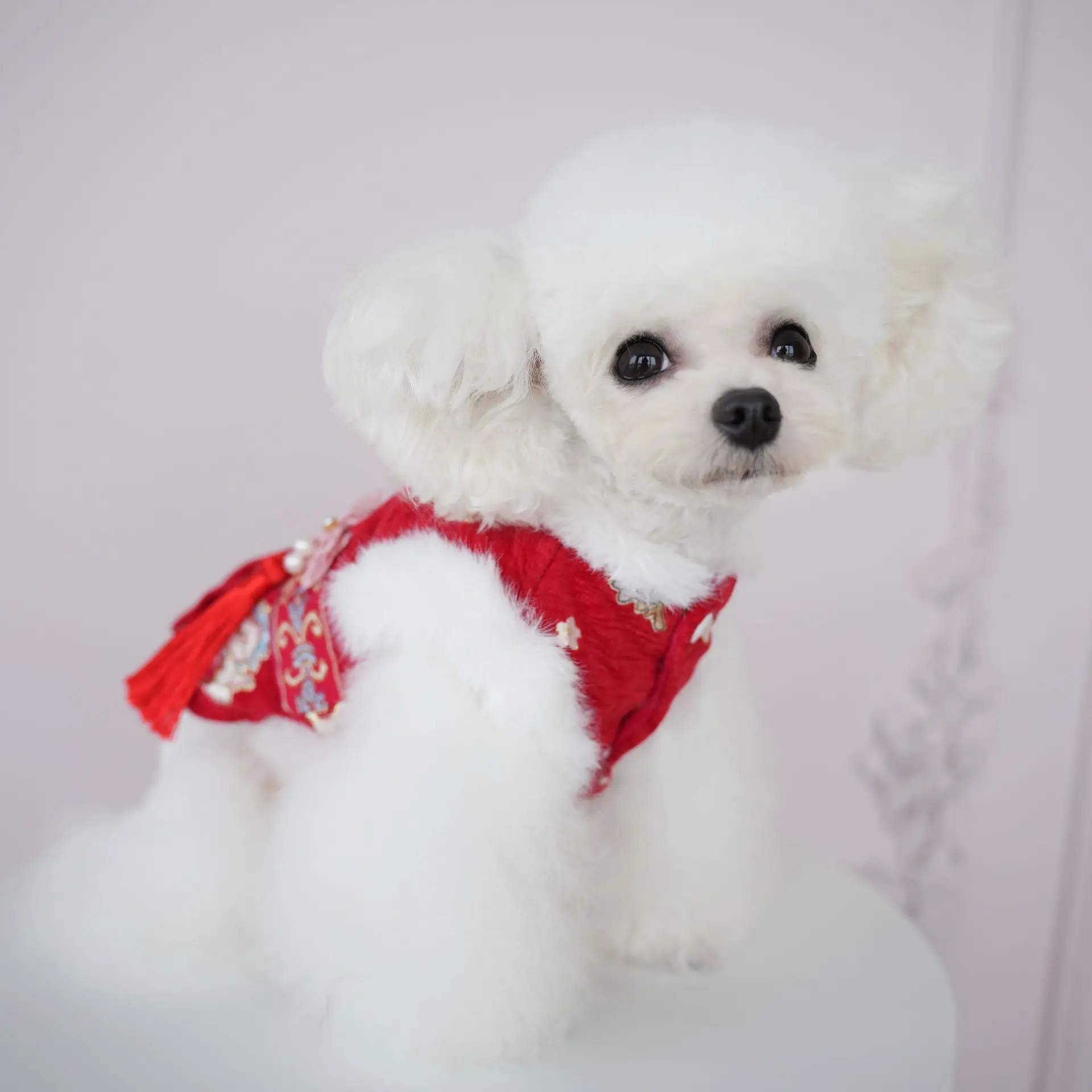 Pet Dog Tang Costume Four Legged Clothes New Year Red Hanfu Dog Christmas Coat Wedding Clothes Teddy Bear Cat Winter Clothes