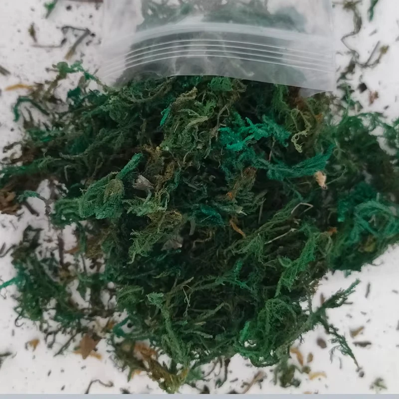 군사 풍경 장면 식물 재료 디오라마 액세서리를 만들기위한 10g 시뮬레이션 모스 잔디 클러스터 모델 키트