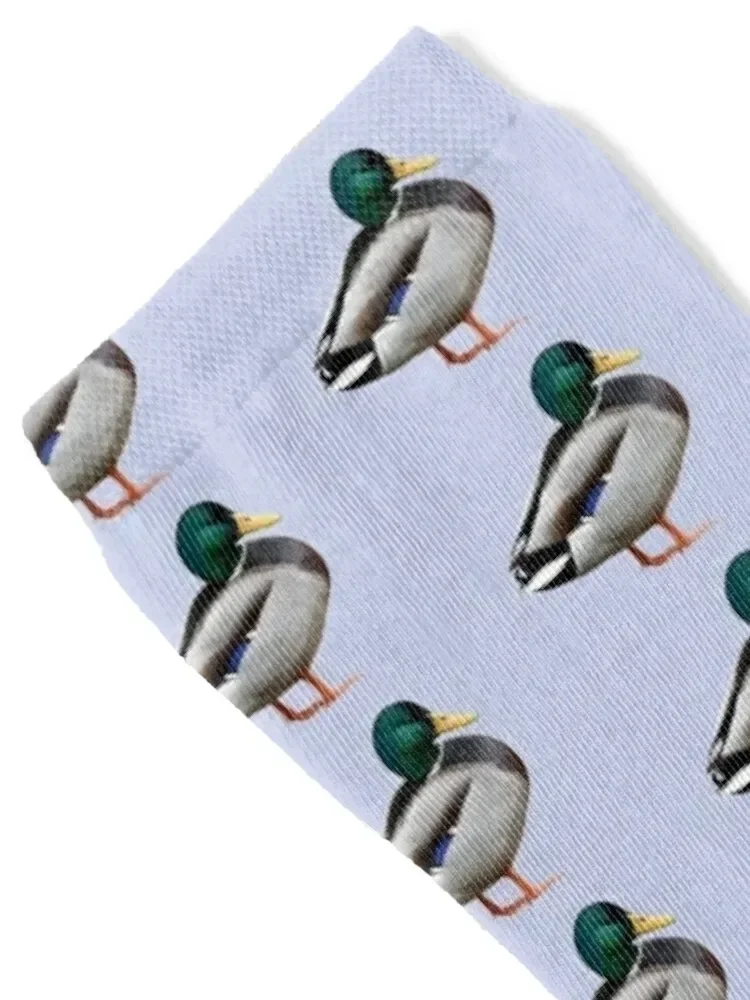 Duck Male Mallard Socks snow winter compression Heating sock Men Socks Women's