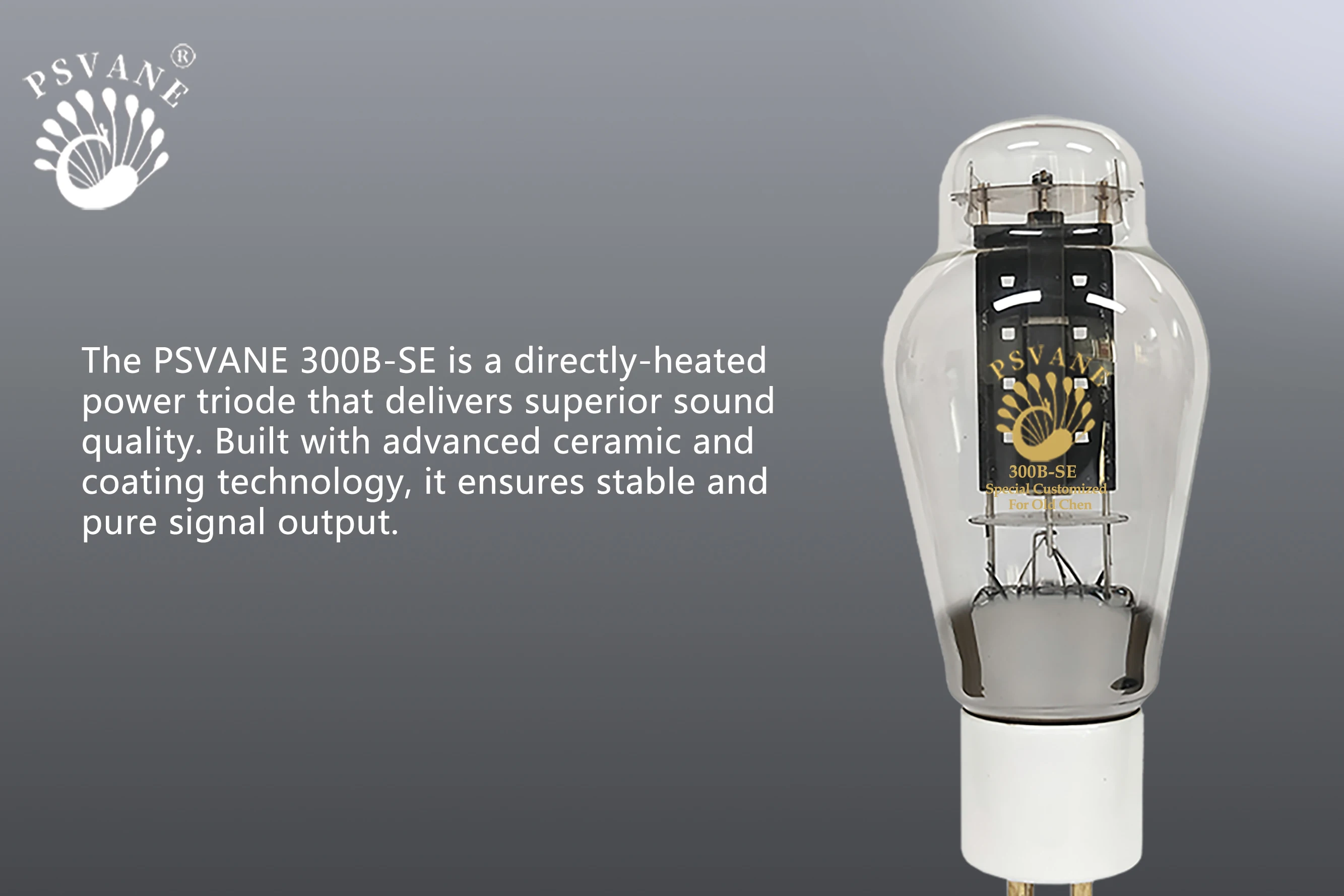 PSVANE/OLDCHEN 300B-SE Vakuumröhre, Ersatz für 300B / 300B-N / 300B-PT / 300B-Z, High-Fidelity Audio-Röhrenverstärker – Detail 3