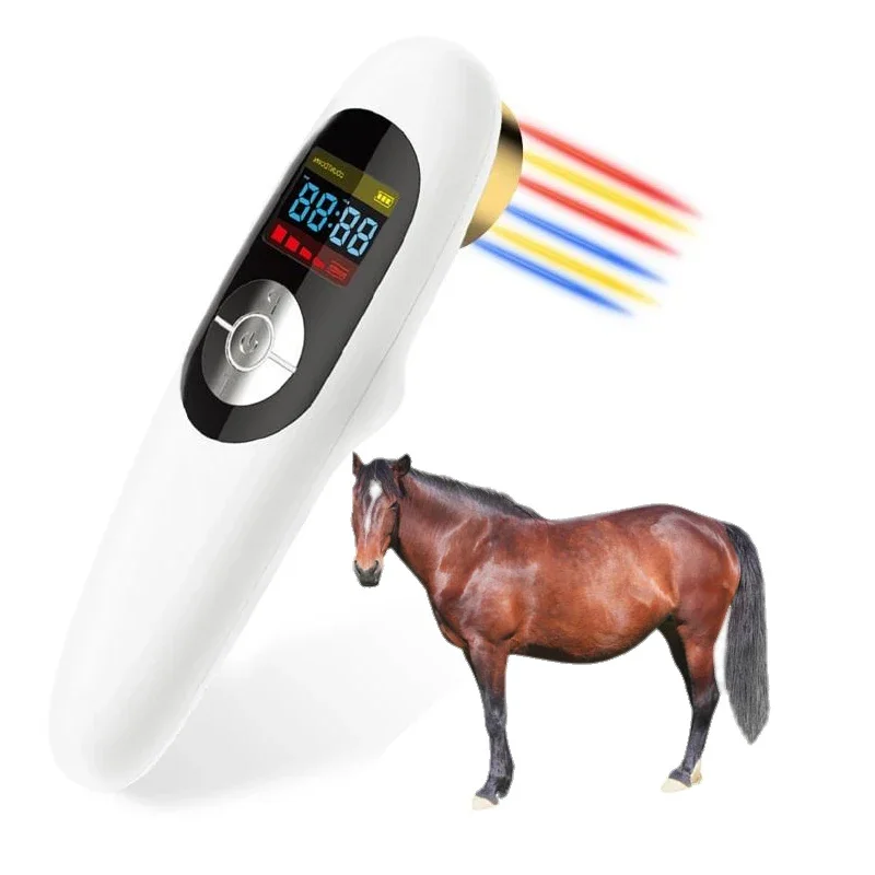 Handheld 650nm and 808nm LLLT red light therapy pain relief device for the horse