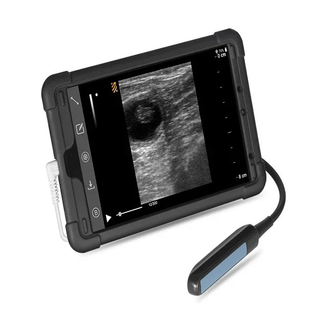 Bmv Ultrasound Scan Wifi Usb Scan Wifi Usb Veterinary Equipment Ecografo Portatil Usb Ultrasound Bmv S5 Rectal Linear Probe