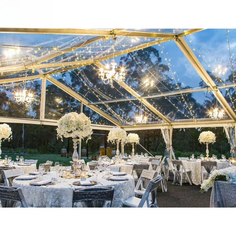 Waterproof large outdoor activities transparent roof transparent tent