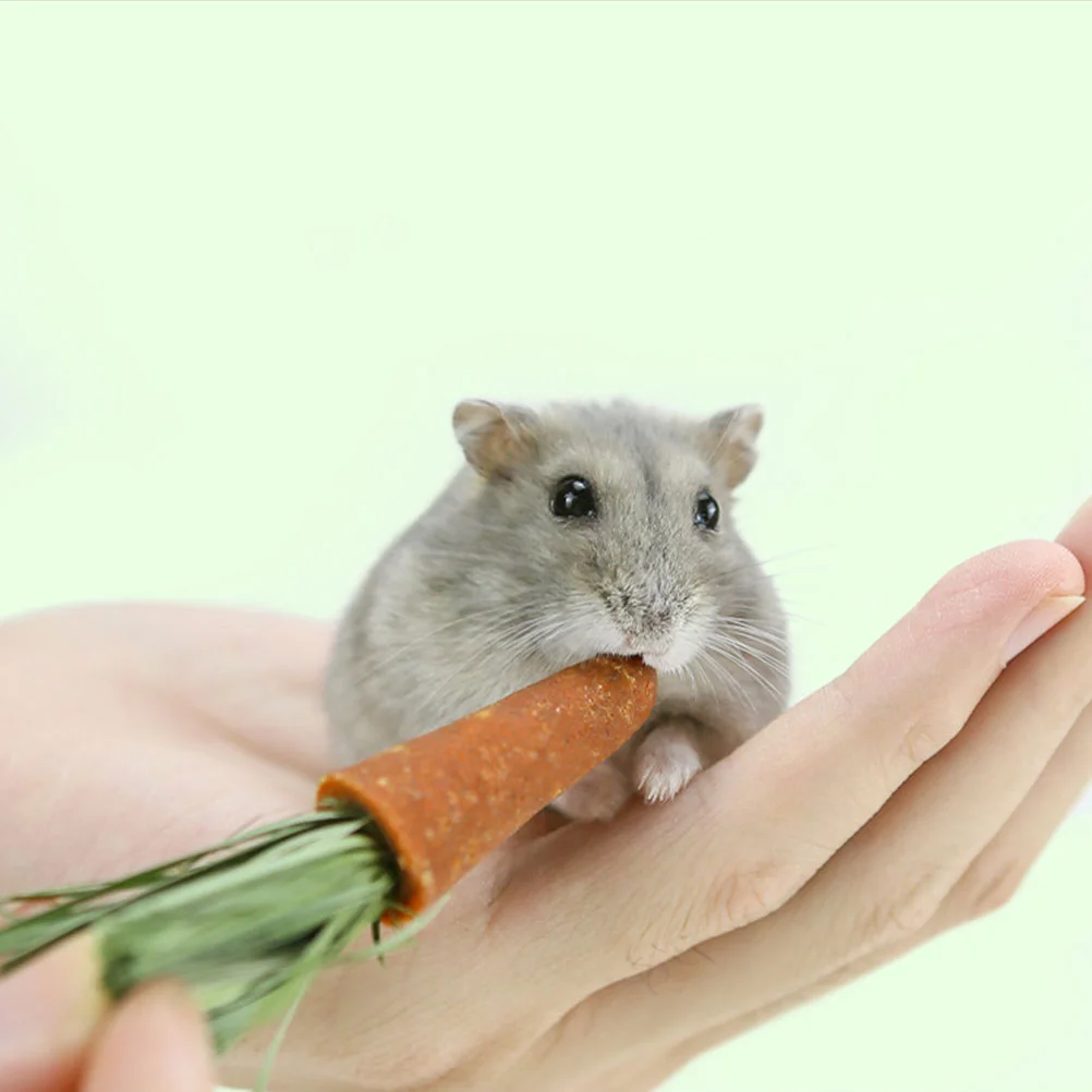 12pcs Carrot Teething Sticks Chew Toys for Hamsters Small Animals Pet Supplies Safe Premium Material Keep Teeth