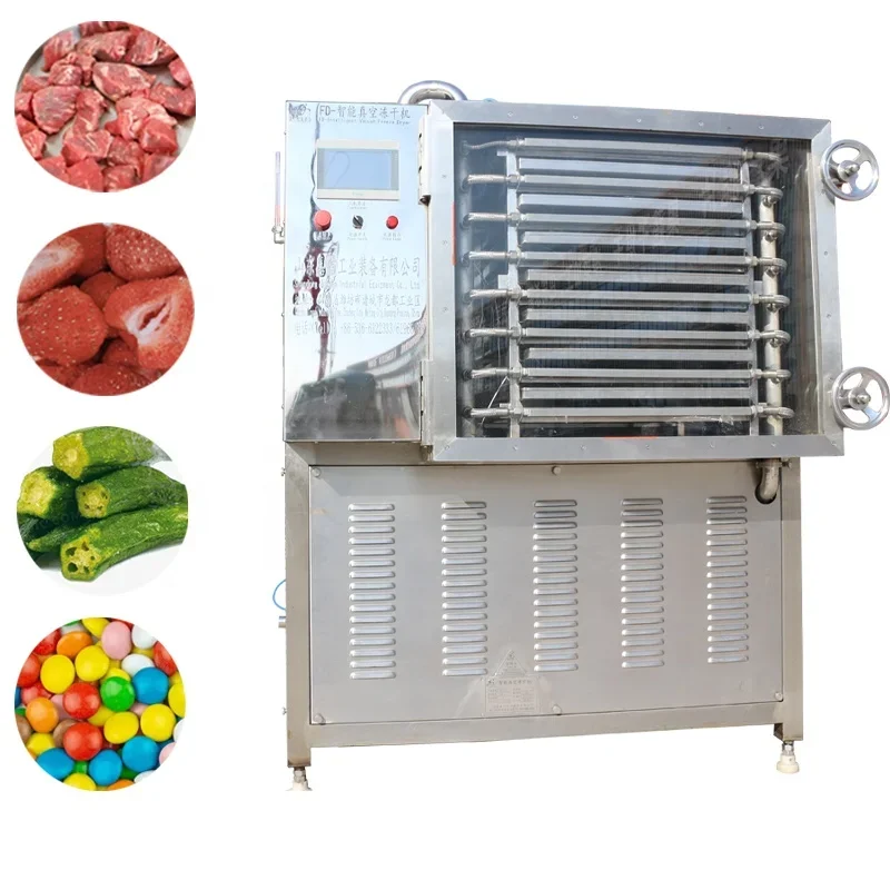 Drying Lyophilizer Machine Industrial Fruit and vegetables Vacuum  Dryer