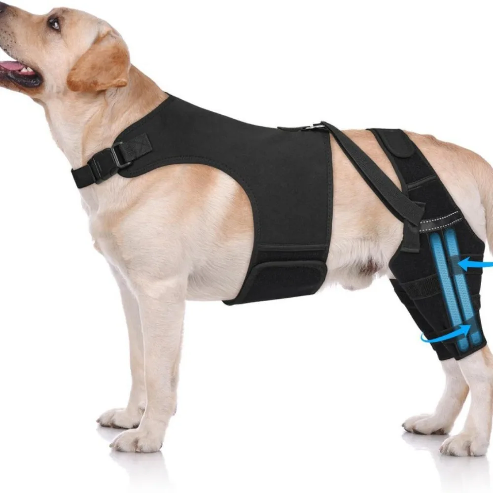 

Adjustable Dog Knee Brace Breathable Comfortable Fit Pet Leg Support Black with 4 Stabilizers Joint Protection Sleeve