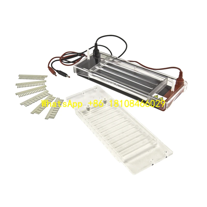 

Horizontal Electrophoresis Tank for Test DNA/RNA