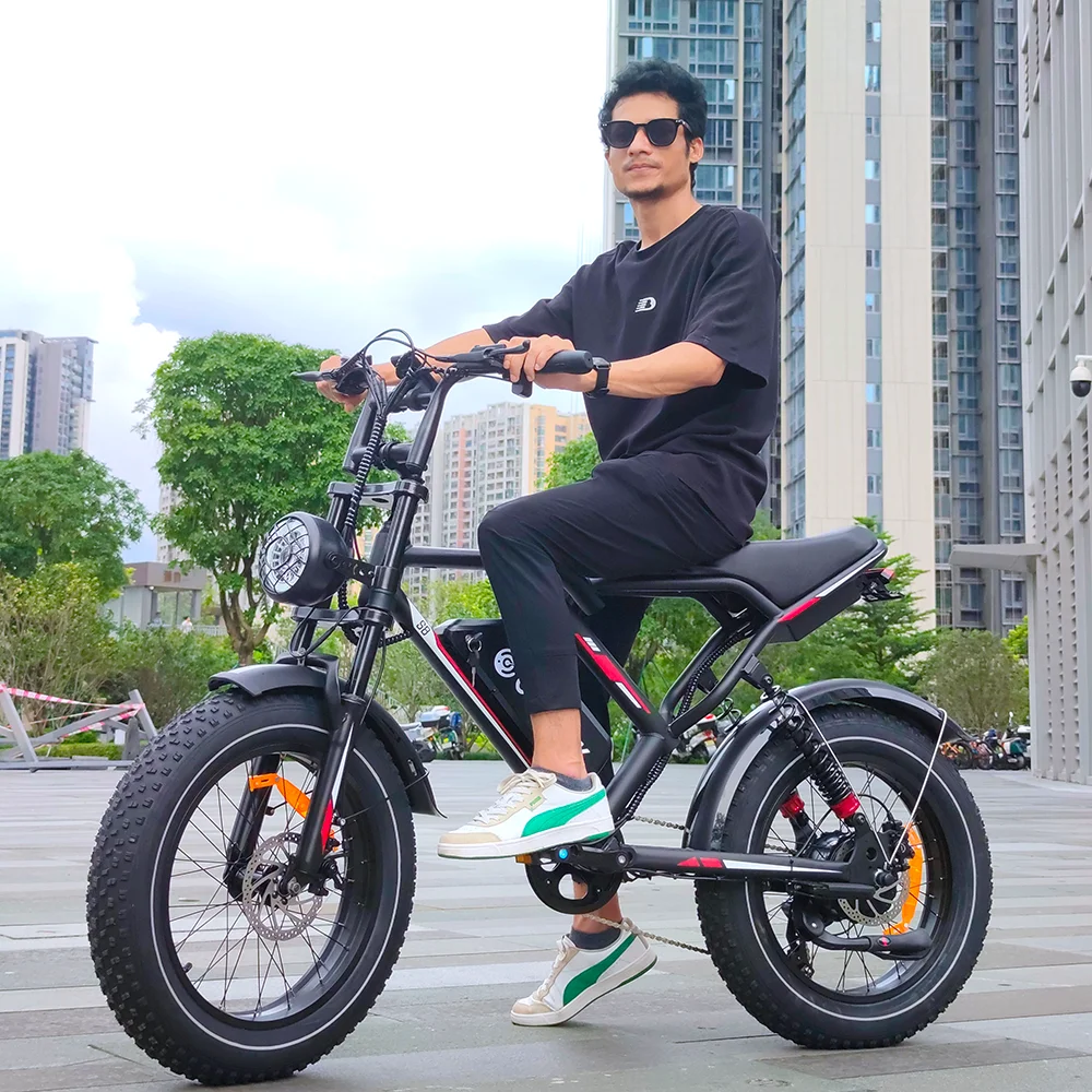 

Mountain E-bike Electric Bicycle Prices 1000W 250W 2000W Fatbike Wholesale 20 Inch Fat Tire Electric Pedal Bike