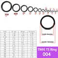 TN95 TS set 004