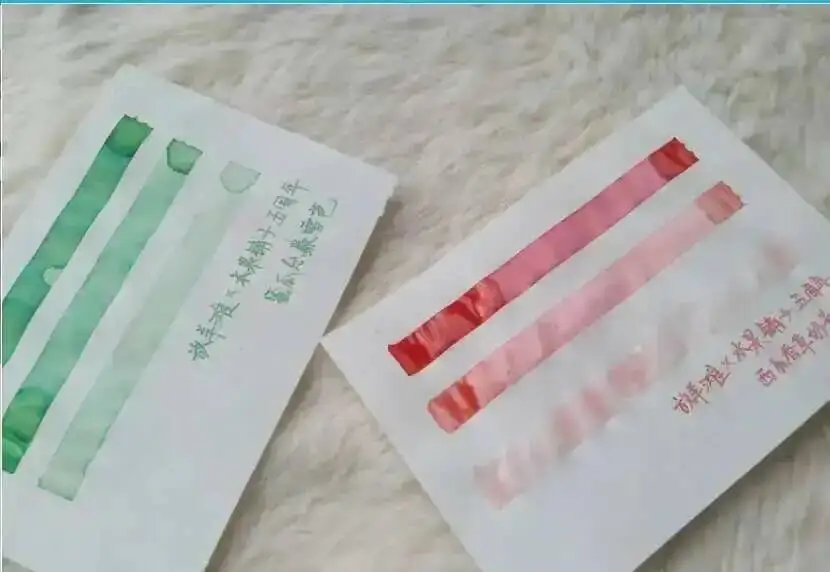 Fruit Shop &Fangyangtan Limited Edition 40ml Large Bottle Color Ink Pen Ink