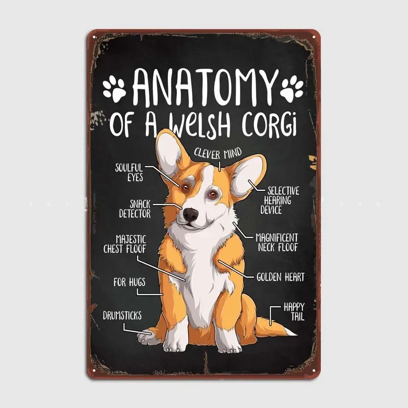 Anatomy of a Welsh Corgi Metal Wall Art Mural Retro Tin Plate Metal Poster Gamer Room Decoration Vintage Home and Decoration Bar