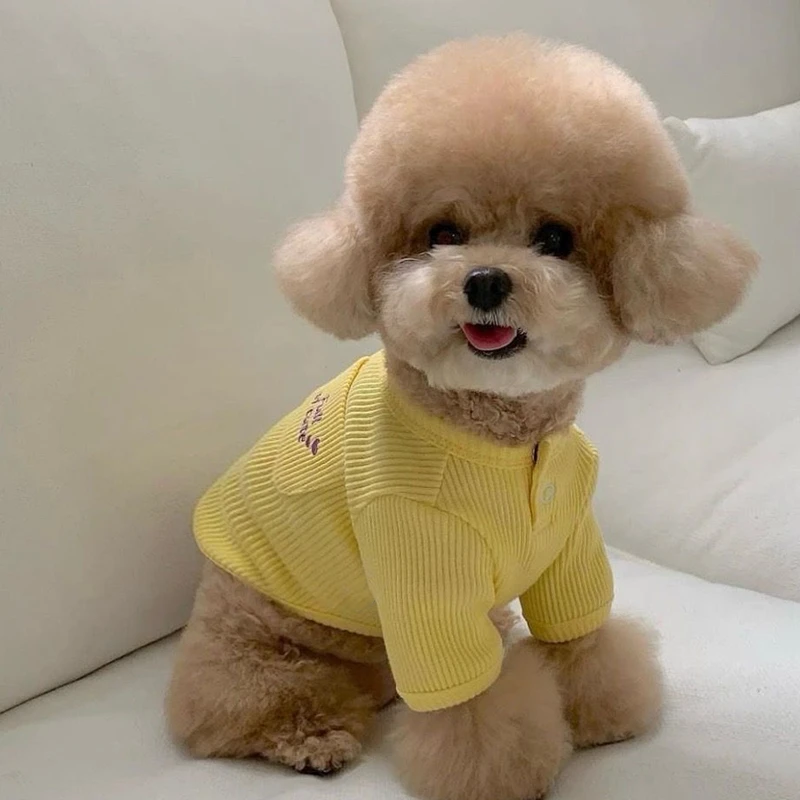 Pet Dog Soft Bottom Shirt Teddy Winter Clothes Bichon Pomeranian Solid Colour Vest Maltese Warm Pullover XS-XL