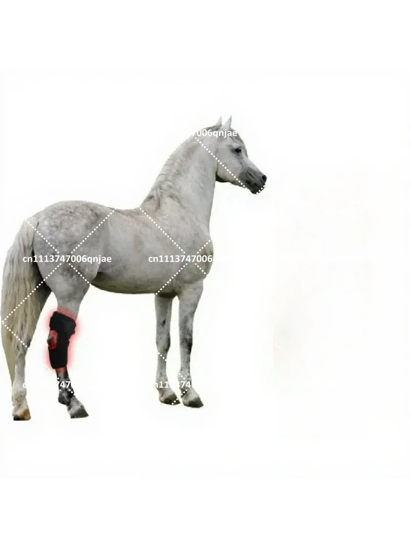 Infrared Pet Therapy Device for Horse Knee Wound Recovery Portable Phototherapy Instrument