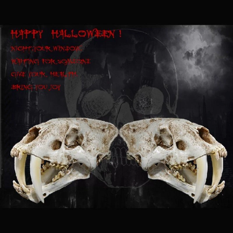 W89C 1: 1 Saber-Tother Resin Skull for Head Model Home Bar Decor