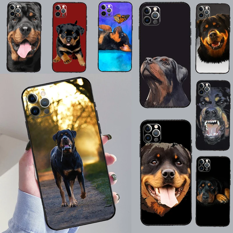 Rottweiler Dog For … - image
