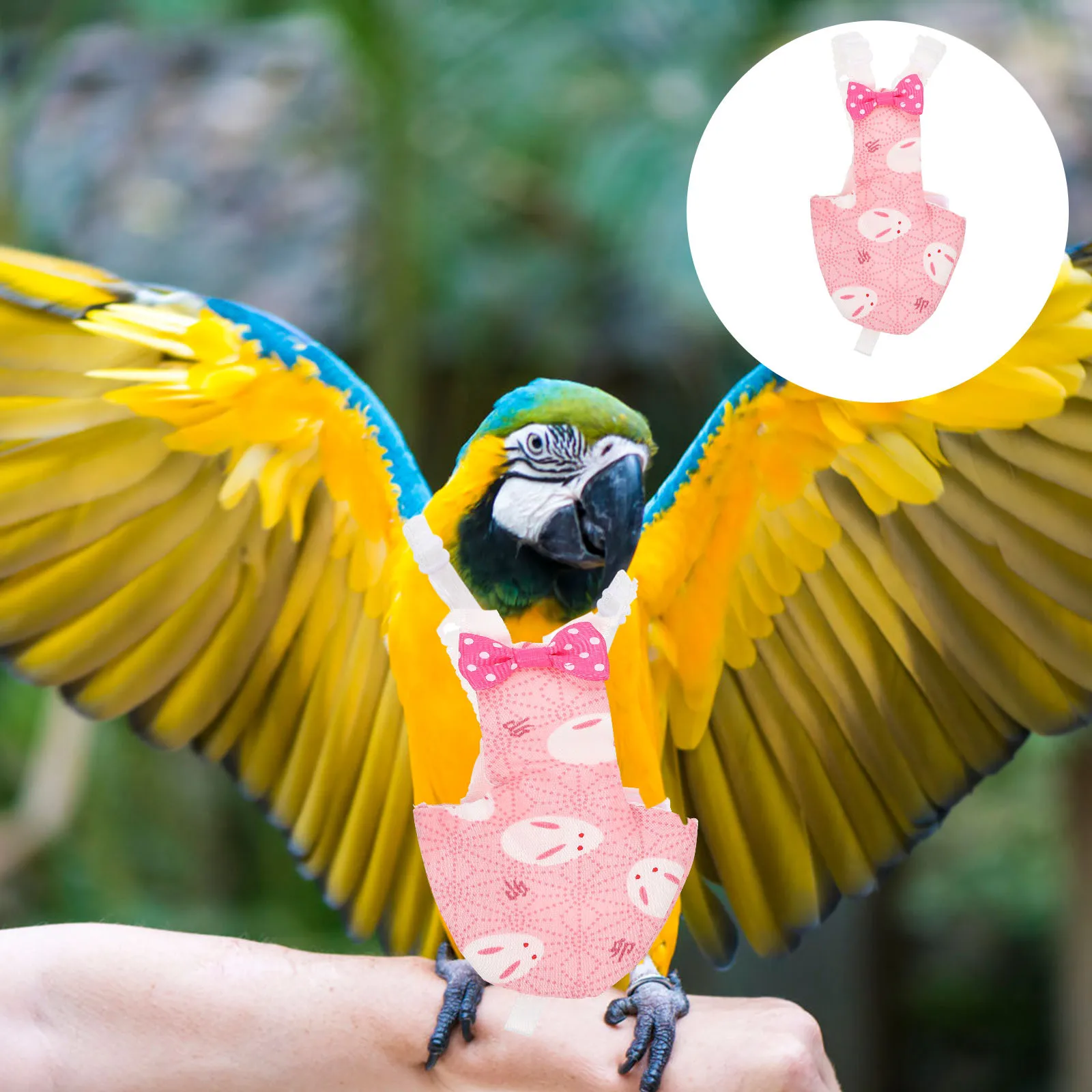 

1 Style Elegant Parrot Clothes Reusable Bird Diaper Lightweight Flight Costume for Festival Party Outings Bird Clothes