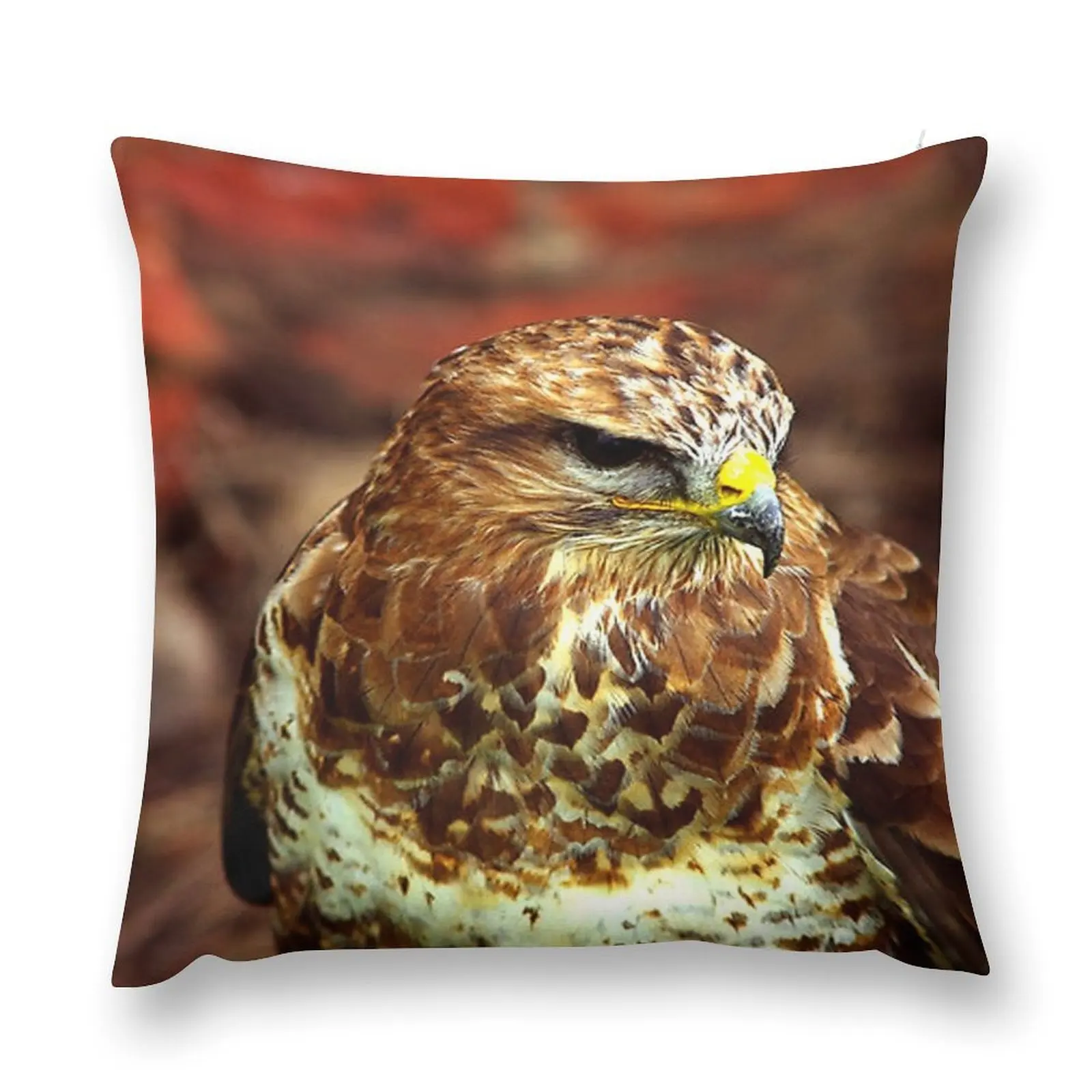 

Buzzard (Buteo Buteo) - Bird of Prey Throw Pillow pillow pillowcase Luxury Pillow Cover Luxury Sofa Cushions