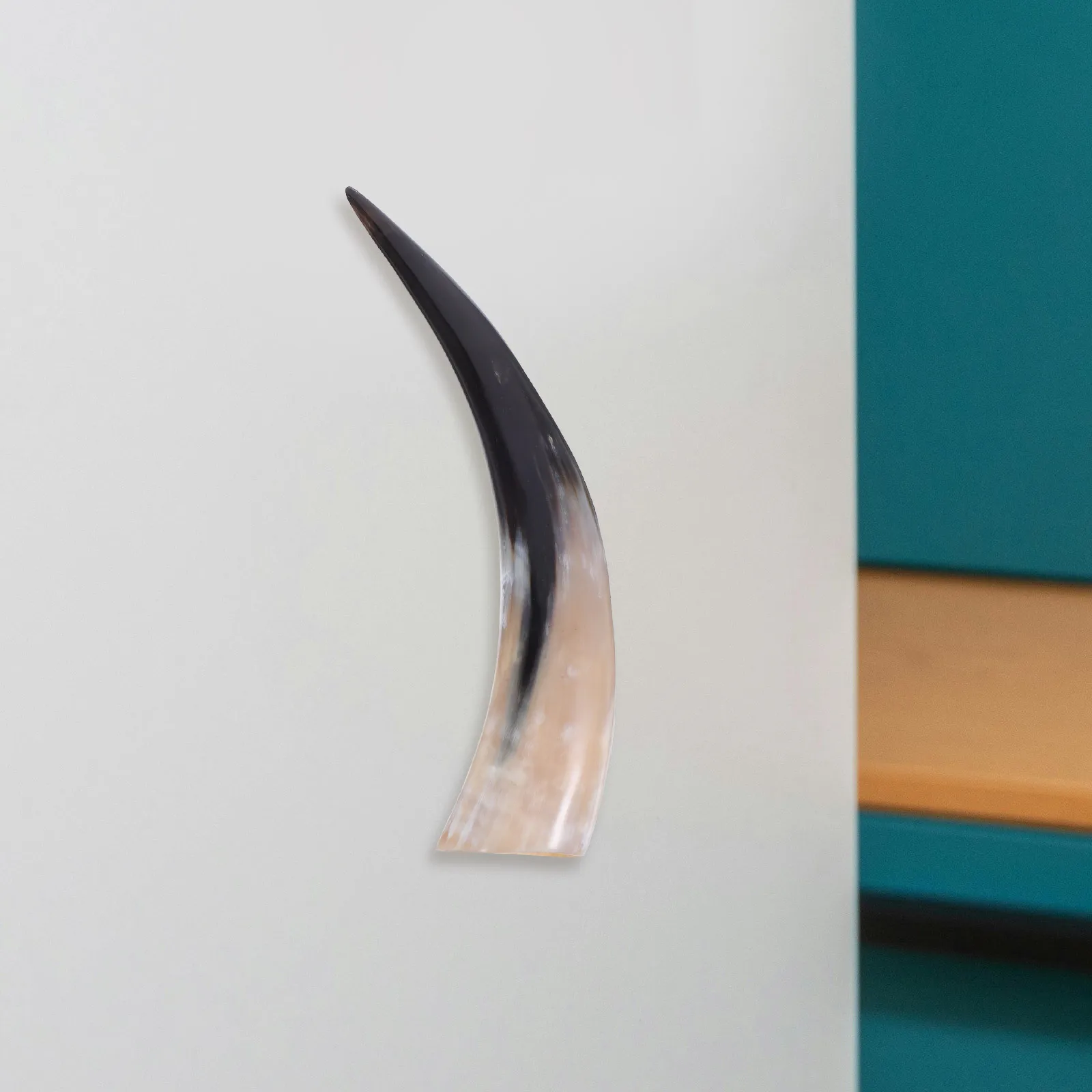 

Horn Wall Hanging Vintage Style Cow Horn Vase Decor Rustic Charm Wall Art Home Decoration Decor Terrarium Vase