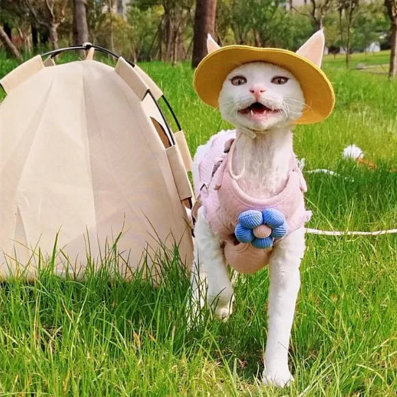 Summer Pet Nest, Detachable Washable Foldable Outdoor Tent-style Cat And Dog House, Equipped With A Cooling Mat