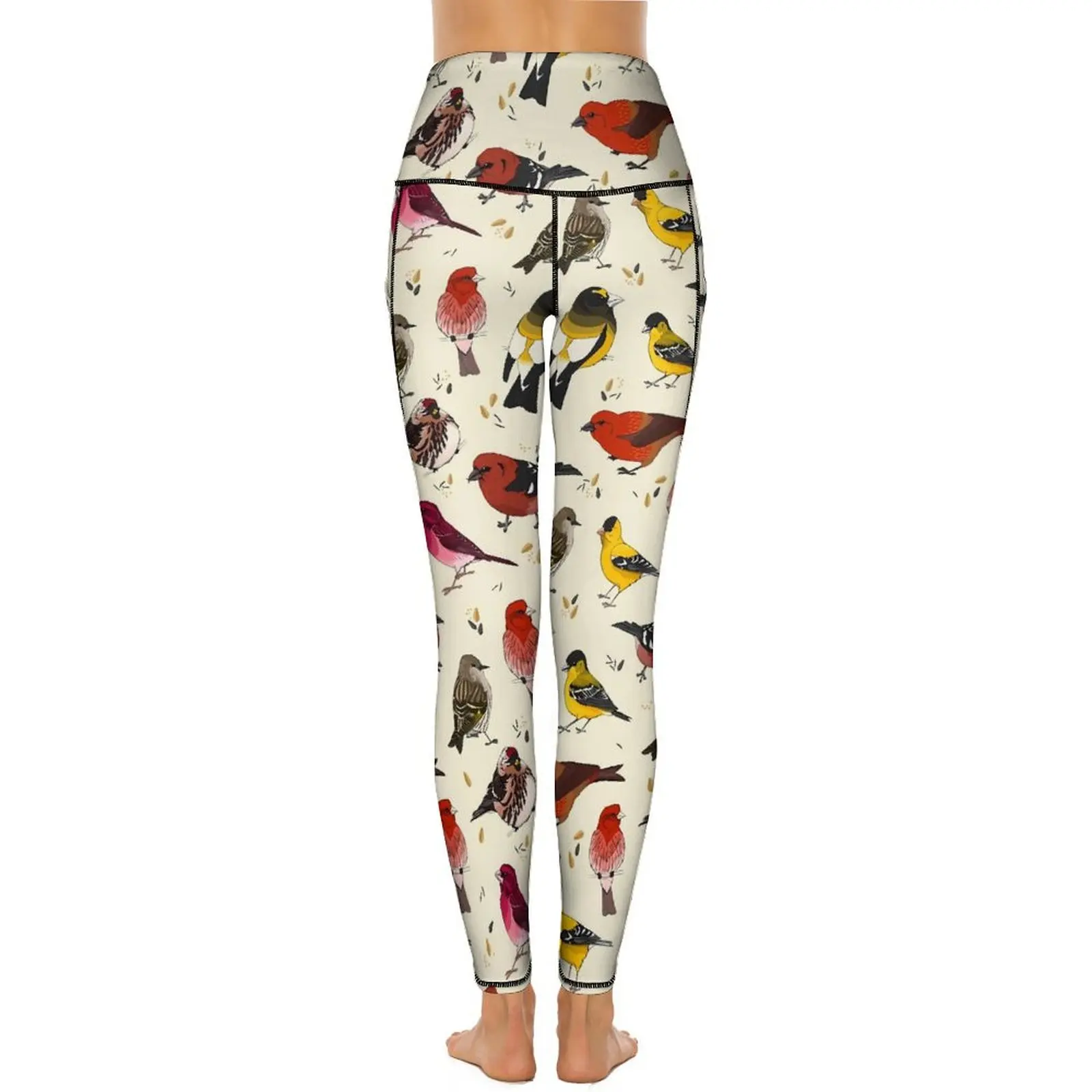 Calças de Yoga estiramento bonito das mulheres, leggings bonito do pássaro, Fitness calças justas esportivas, Tentilhões norte-americanos, Push Up Pattern, Sexy