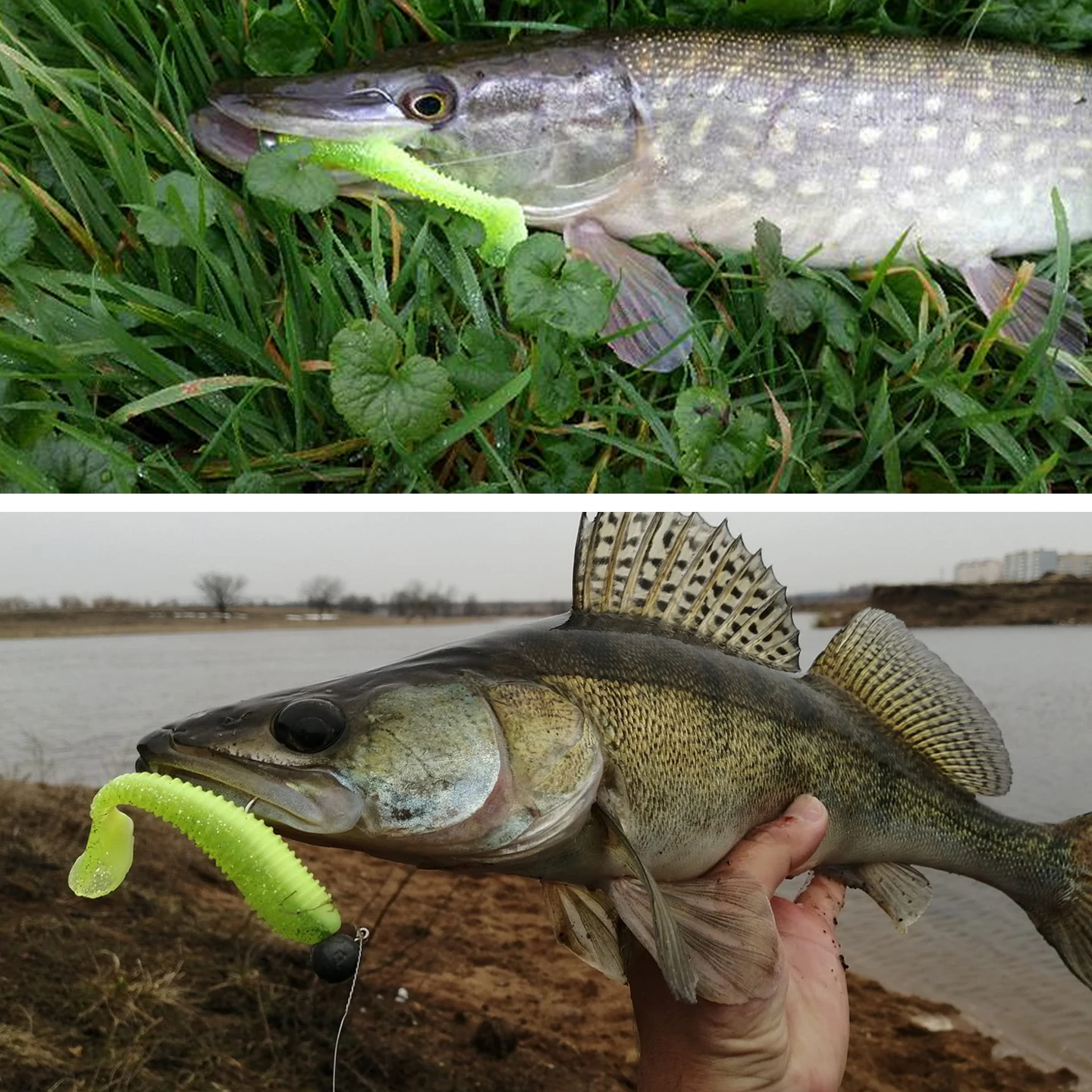 ESFISHING 낚시용 소프트 루어 바이브로 팻 100mm 125mm 스윙 임팩트 팻 이... - 5