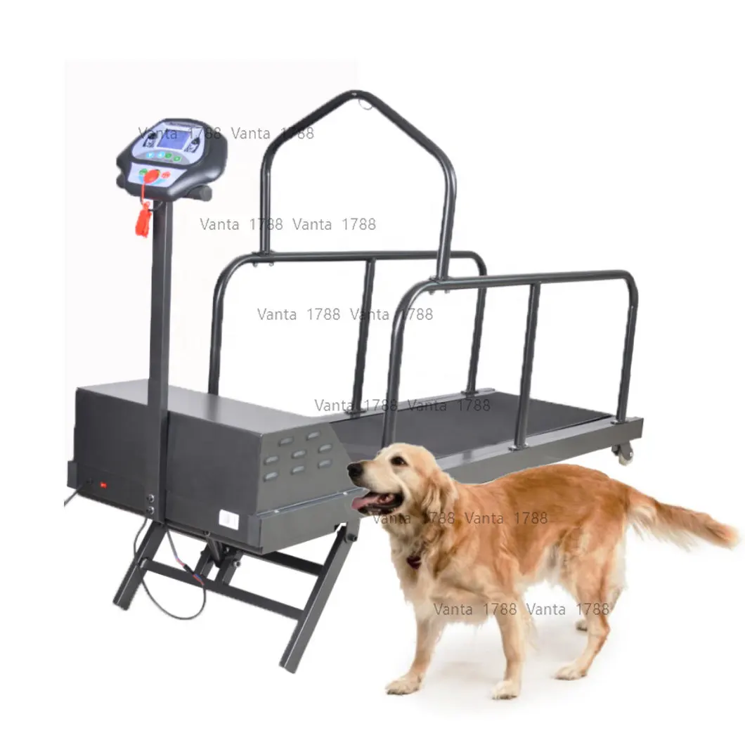 

Pet Sport Equipment Large Pet Dog Treadmill for Pet Exercise and Losing Weight Vet Treadmill Machine