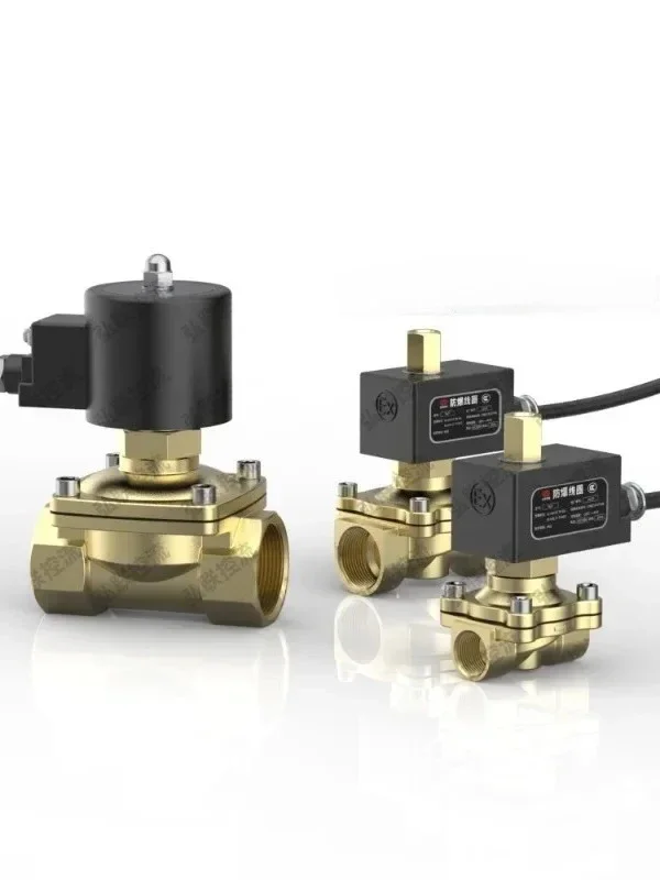 

Explosion proof electromagnetic control valve, normally open, natural gas shut-off valve, dust chemical 4 points 220v24vdn152025