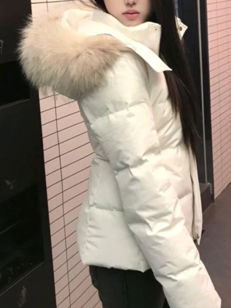 Korean Fashion Elegant Short Puffer Hoodie Coat Women Slim Fit Zipper Fur Collar Thick Warm Parkas Winter Casual Retro Chic Tops