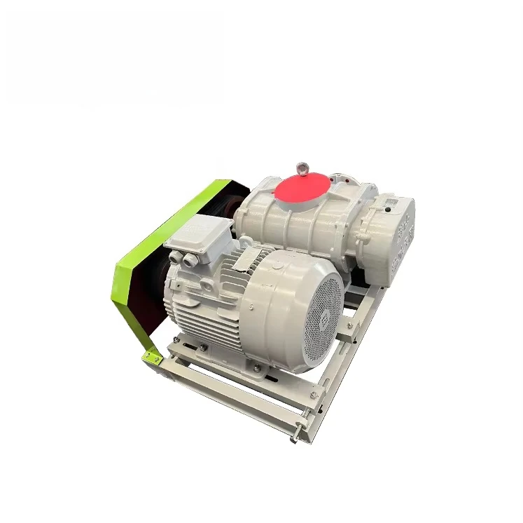 

For Ozone Generator Roots Blower Vacuum Pumps Accept OEM ODM High Performance for Sale