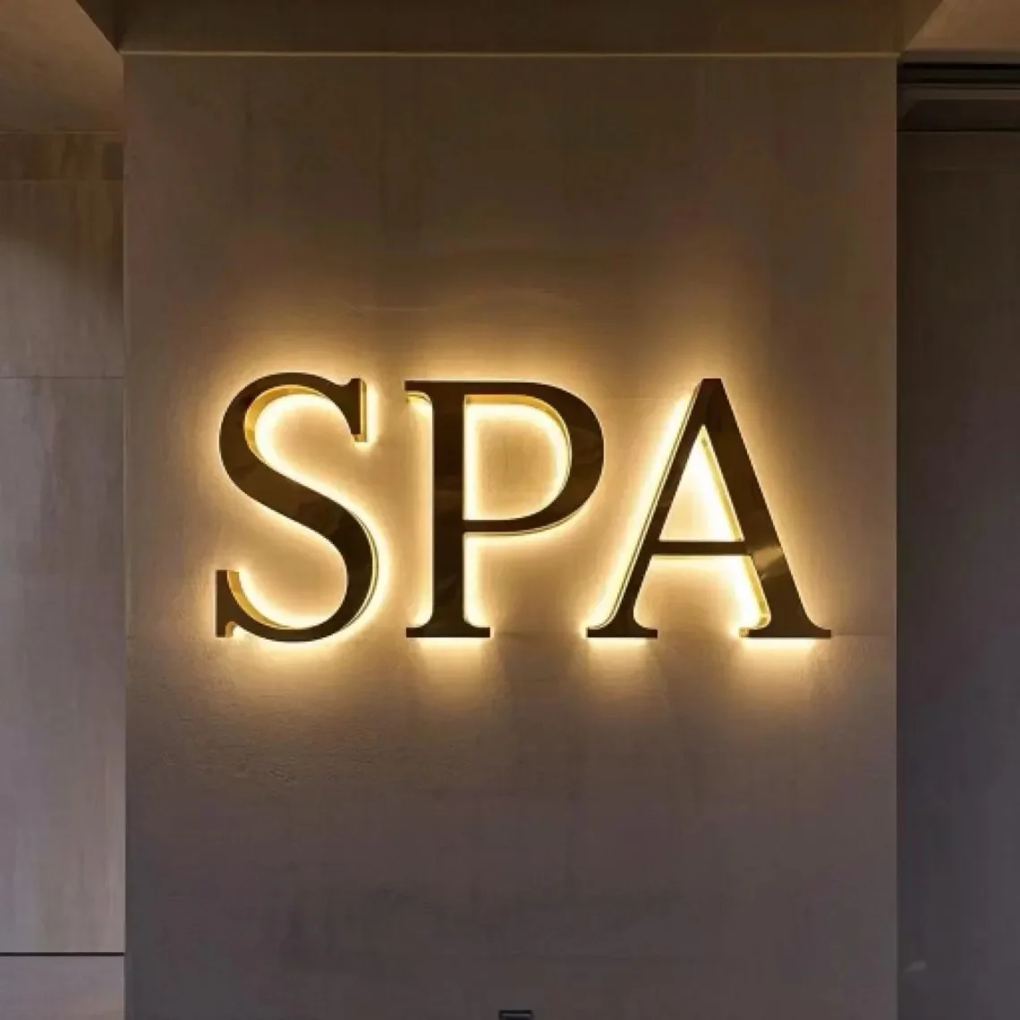 

Custom Backlit Sign | Backlit Logo Sign | Custom Business Sign | LED Light Box Backlit | 3D Metal Sign | Custom Spa Clinic Sign