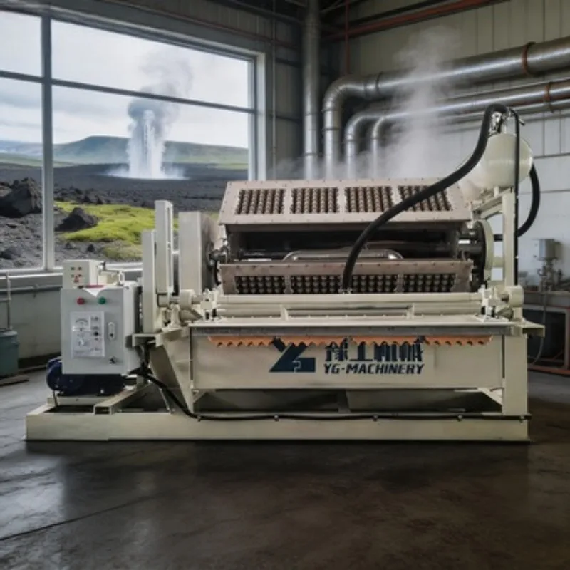 OEM Service Egg Tray Production Line Pulp Molding Equipment Waste Paper Recycling Machine 2000pcs/h for Commercial Use