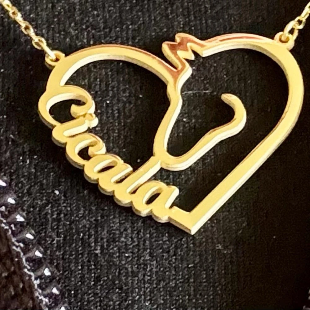 

Horse Rider Name Necklace Personalized Cowboy Name Horse Necklace Custom Horse Lover Gift Memorial Jewelry Men Women Choker