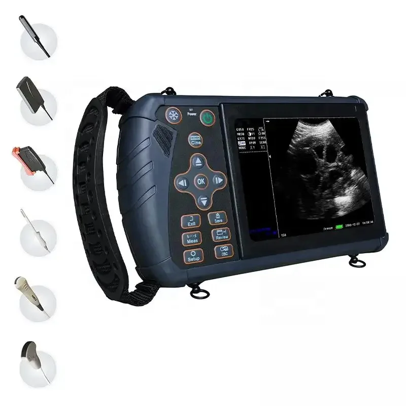 

EUR PET Hot Sale Wireless Full Digital Veterinary Ultrasound Scanner Machine With Factory Price For Animal Use