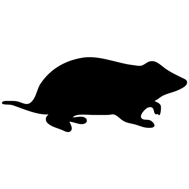 

BLKUOPAR For Hamster Car Stickers Sunscreen Occlusion Scratch Decals Creative Refrigerator Motorcycle Decor Car Label