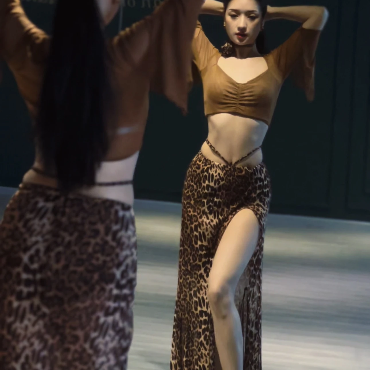 

New Belly Dance Suit Sexy Mesh Long Sleeve Top+Leopard Pattern Split Long Skirt 2pcs Oriental Dance Performance Costumes