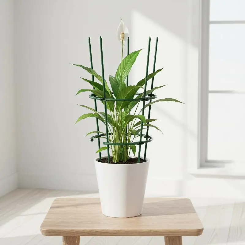 Plastic Plant Support Ring Orchard Garden Support Pile Stand
