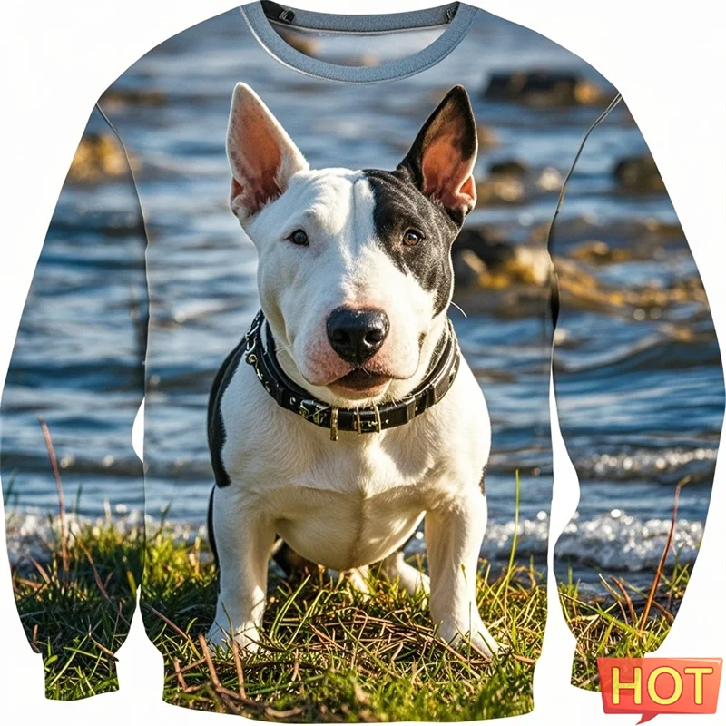 

Fashion Bull Terier Graphic Sweatshirts Clothes For Men 3d Printed Bulldog Harajuku Pullover For Kid Women Hoodie Sportwear Tops