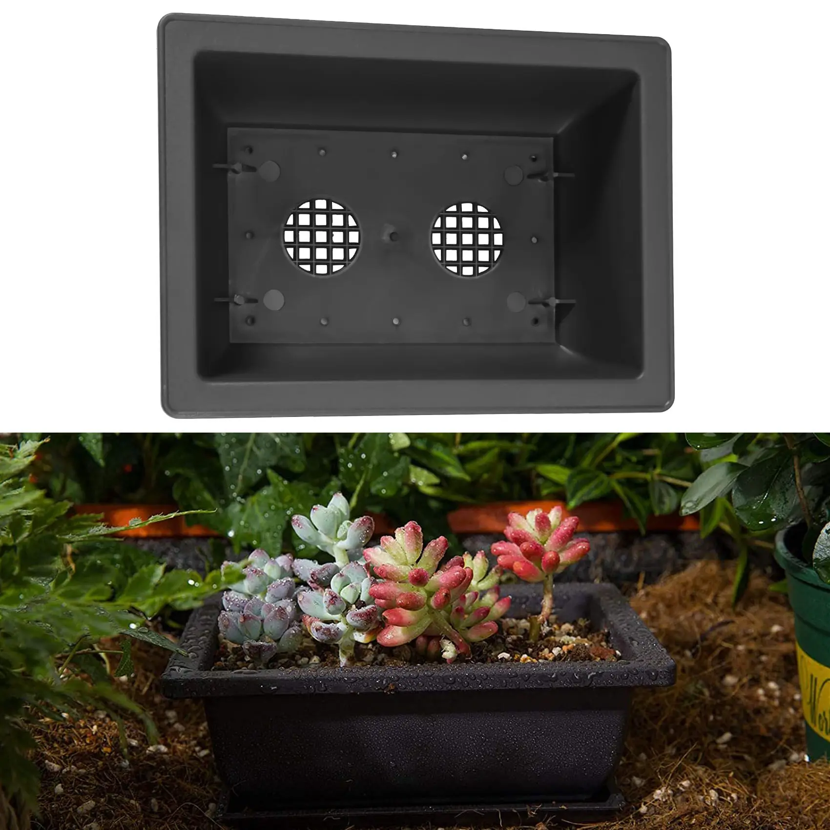 ABKW-6 Packs Bonsai Training Pots With Tray Plastic Bonsai Plants Growing Pot For Garden Yard Living Room 22.5X16.5Cm