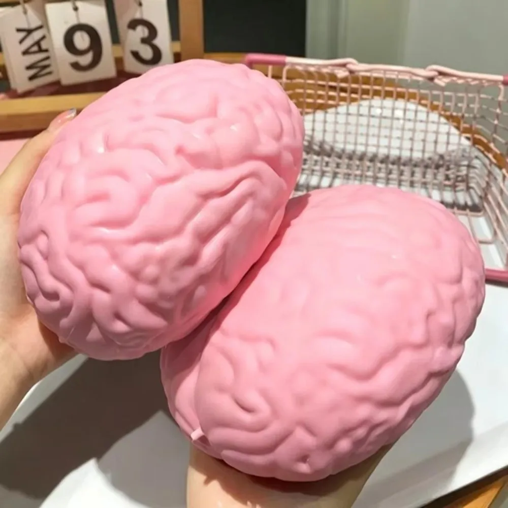 Stress Ball Simulated Brain Squishy Moldable Slow Rising Prank TPR Big Brain Model for Adults