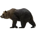Brown bear