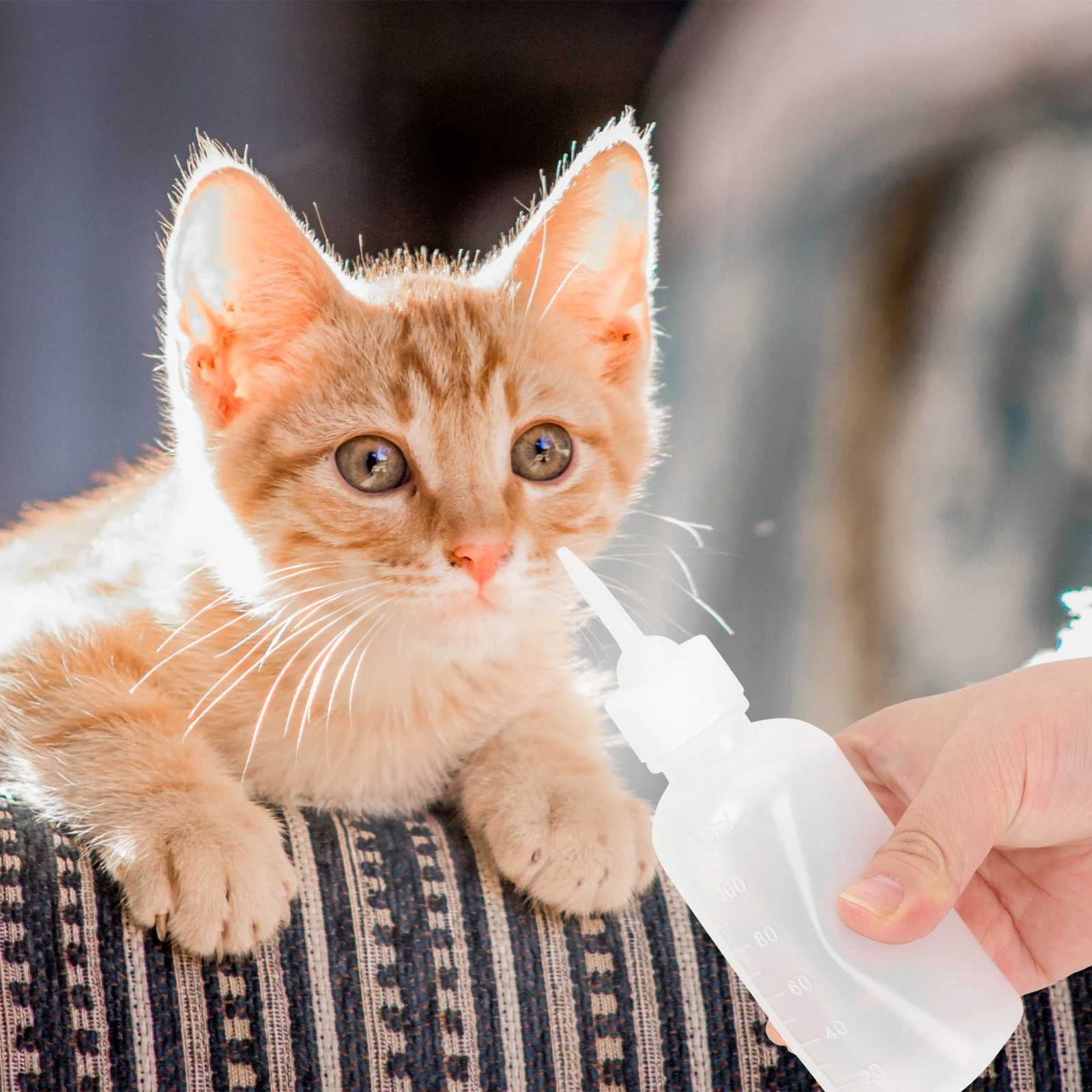 

4 Pcs Pet Bottle Milk Kitten Feeding Feeder Small Reusable Nursing Bottles White Mother