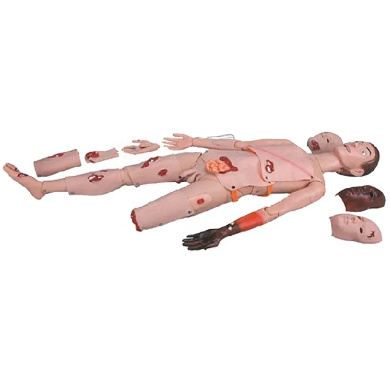 Nurse Medical Training Trauma Simulation CPR Manikins