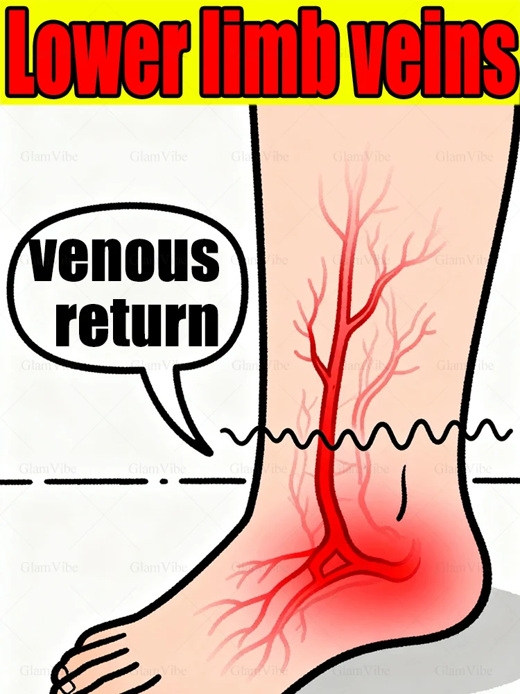 

Lower limb venous return