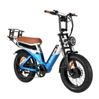 BAOLUJIE DP-2033 2000W power E-bike,30Ah Battery Hydraulic disc Brakes Electric Bicycle,20 inch city commute Electric Bike