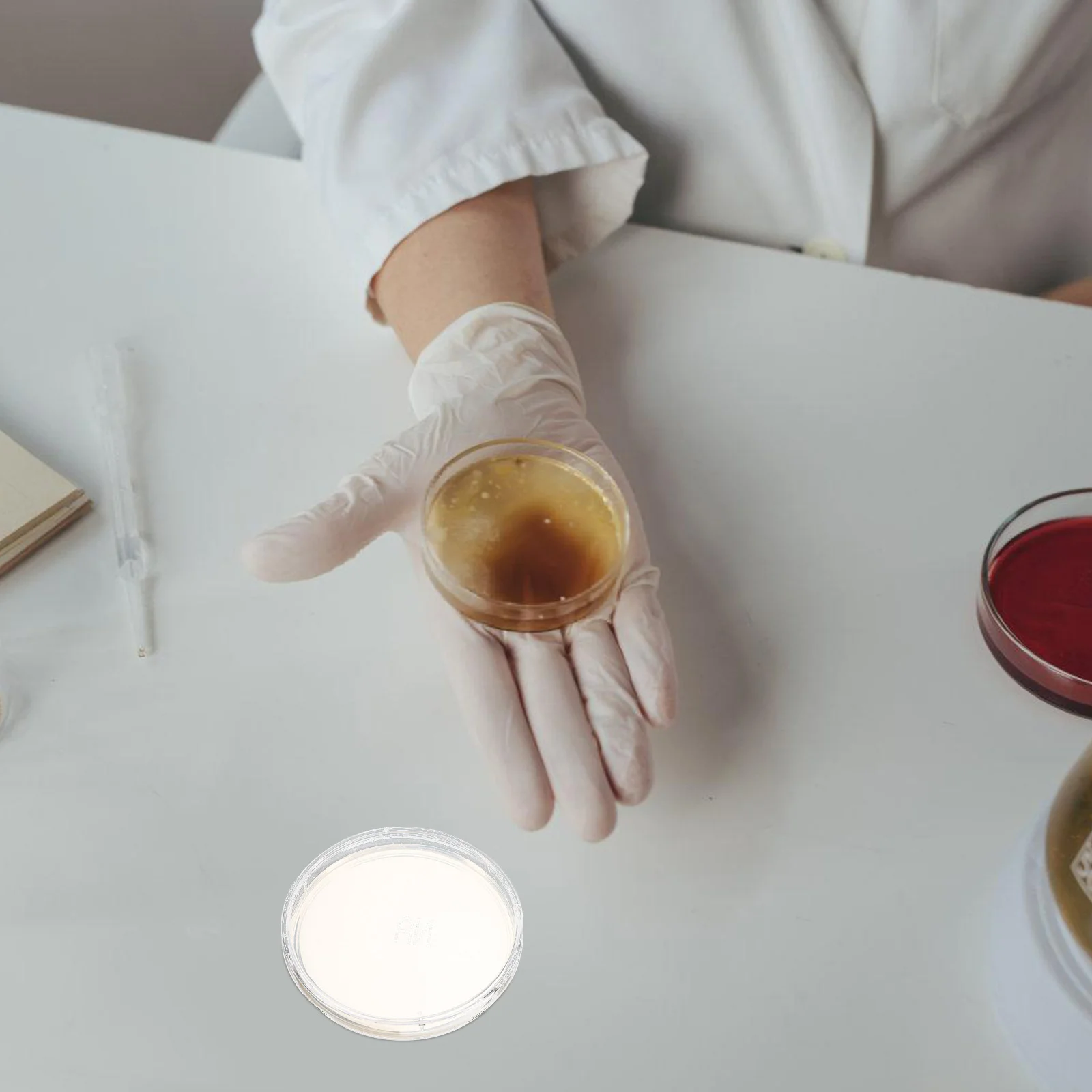 

10Pcs Portable Agar Plates Lab Petri Dishes Prepoured for Science Projects Laboratory Experiment Supplies Culture Isolation